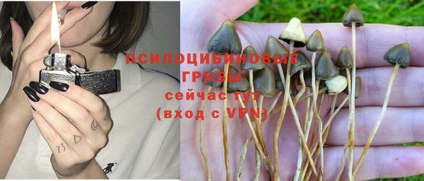 MDMA Premium VHQ Армянск