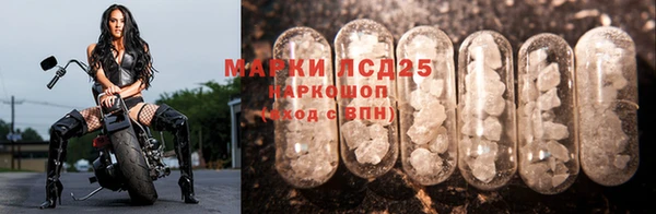 ECSTASY Аркадак